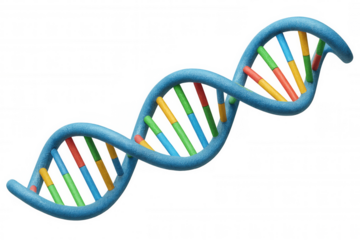 Dna double helix structure representing genetics, biology, evolution, and medical research on a transparent background