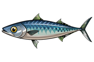 Obraz premium Mackerel Fish Isolated on Transparent Background — Detailed Marine Seafood Illustration.