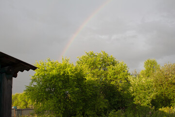 a rainbow over the trees against the background of clouds