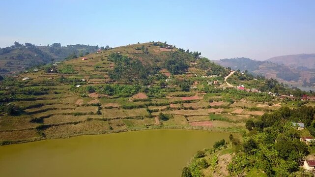 Terraced hillside farms with matoke, beans, maize, and sweet potatoes shows erosion-control terraces, rural homes, and morning light over Kigezi Highlands, Shores of Lake Bunyonyi in Uganda, Africa
