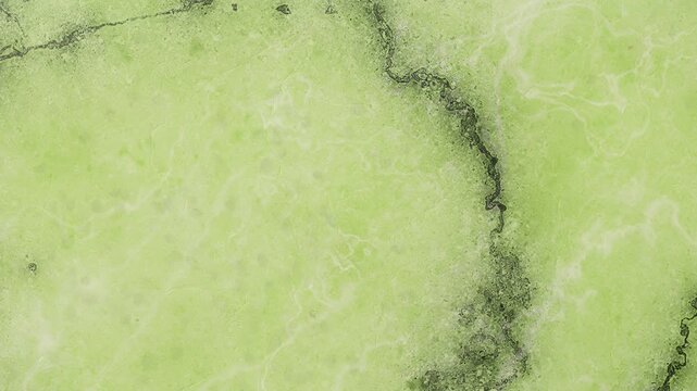 Vibrant light green abstract background with a marbled texture and dark organic linear patterns image