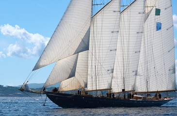 Naklejka premium sailing ship on the sea