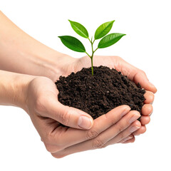 Hands cradle rich soil containing a small plant with vibrant green leaves, symbolizing growth