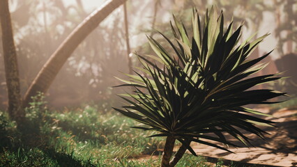 Vibrant green plants thrive in a tranquil tropical garden. Sunlight filters through the trees, casting soft shadows on the ground. Natures beauty invites peaceful reflection and exploration.