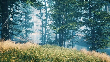 Obraz premium Golden sunlight beams through lush green trees in a tranquil forest. The grass sways gently, creating a peaceful and inviting atmosphere perfect for a nature walk.