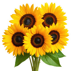 A vibrant bouquet of five sunflowers with bright yellow petals and dark brown centers