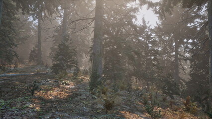 Sunlight gently breaks through the tall trees of a serene forest, illuminating the lush undergrowth and creating a magical atmosphere. The calming sounds of nature can be felt all around.