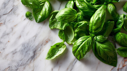 Fresh vibrant basil leaves on white marble, culinary herb, Italian cuisine, flat lay composition