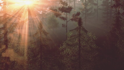 Golden rays of sunlight illuminate a serene forest, casting gentle shadows on lush green trees. Mist adds a mystical ambiance, creating a peaceful atmosphere at dawn.