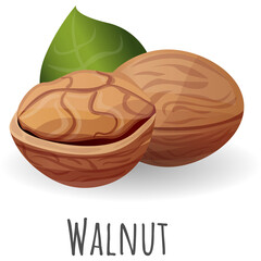 Two brown walnuts with a green leaf and a transparent background