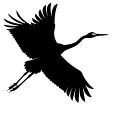 Silhouette of a crane bird in flight with wings spread wide