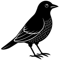 Stylized black silhouette of a bird on white background