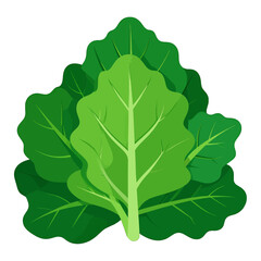 Illustration of Green Leafy Vegetables on White Background Minimalist Style Greens with Fresh Vibrant Colors Vector Art Style Healthy Eating Concept