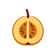 Graphic Illustration of a Cross Section of a Peach Fruit with Brown Seeds and Stem on a White Background