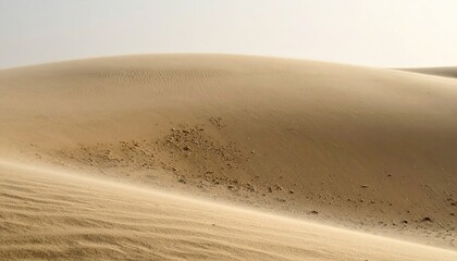 Desert dune, gentle slope, pale sand, subtle wind patterns
