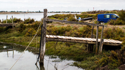 Paysages de l'île de Ré