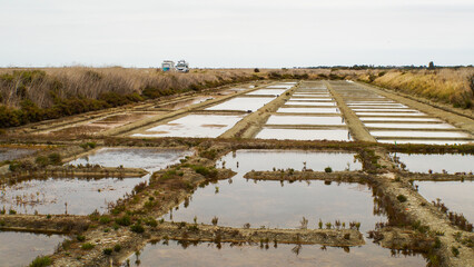 Paysages de l'île de Ré