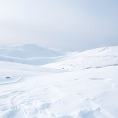 Snow-covered hills and valleys under a bright, overcast sky create a serene and minimalist winter landscape.