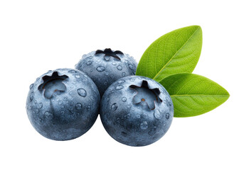 Isolated Three blueberries with leaves macro close-up studio shot of fresh fruit food