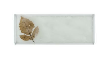 Frosted glass fossil leaf nameplate with spooky fog texture, Halloween natural fusion