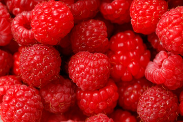 A bunch of red raspberries