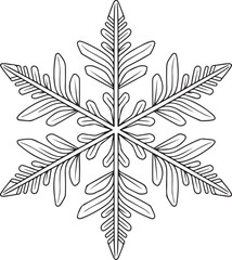 Snowflake, contour