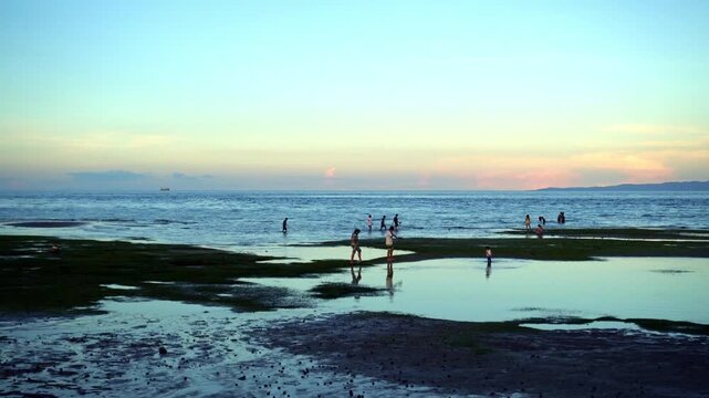 At low tide, people collect algae and mollusks and arthropods, crabs run to the shallows