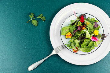 Spring salad and edible flowers.