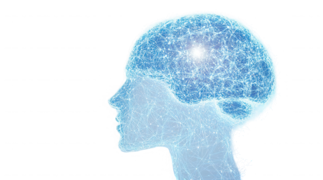 A digital representation of a human head with a glowing brain and network connections visible inside on transparent background