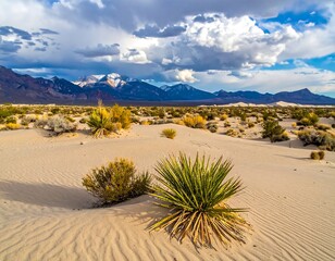 Vast desert landscape with rolling sand dunes, scrub, and distant snow-capped mountains under clouds
