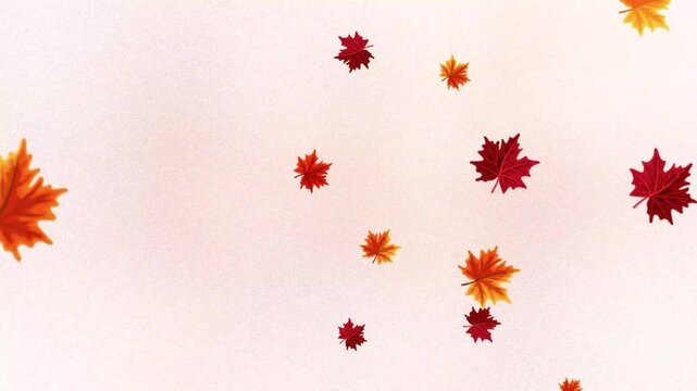 Thanksgiving greeting reveal background with floating autumn leaves in 4K