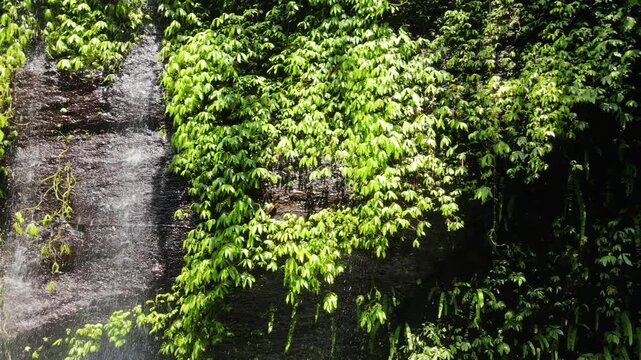 Aerial Drone Footage of Juneng Waterfalls (Central Java, Indonesia)
