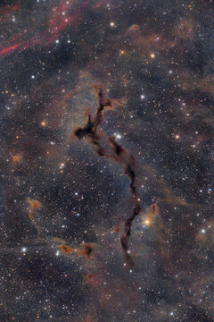 Seahorse Nebula Barnard 150 in Cepheus dark nebula night sky astrophotography