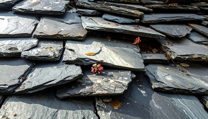 Close-up of weathered, overlapping grey slate roof tiles with a small flower