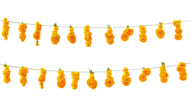 Buy diwali marigold flower garland decoration for festive season online now