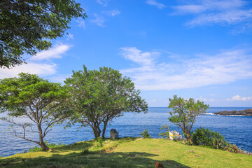 Beautiful beach scene with a blue ocean and a few trees
