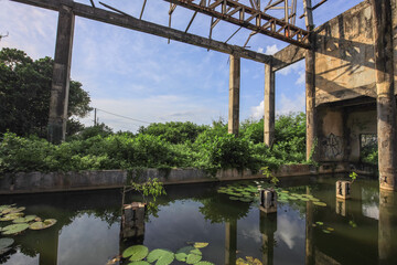Large body of water with a few plants in it