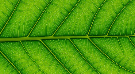 Seamless Green Leaf Vein Pattern - Natural Eco Texture