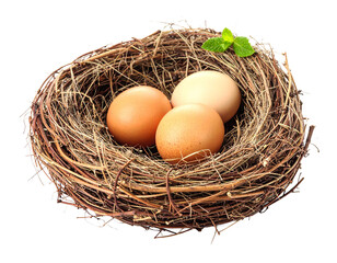 A bird's nest with three brown eggs isolated on a white background.