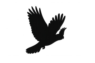 Obraz premium Bird flying, showing black silhouette against a transparent background. Concept of freedom, nature, and wildlife