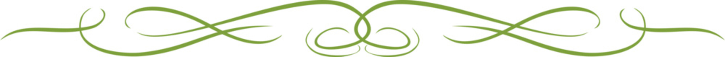 Vintage Ornament Divider