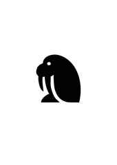 walrus.ai © 111jaczyk