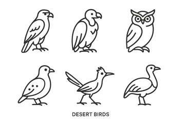 Outline illustrations of six different desert birds