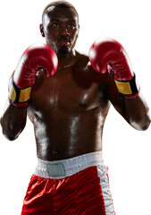 Male boxer in red gloves ready to fight showing confidence and determination. Concept of focus, readiness, courage, and athletic preparation. Transparent background