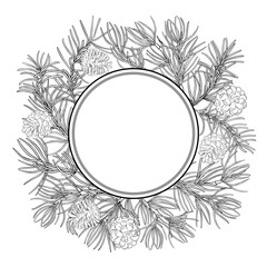 Pine Branch with Cones and Needles Outline Round Frame. Vector isolated for design or decoration.