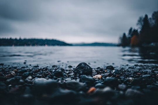 Rocky shoreline meets calm water, cityscape glows in background - Powered by Adobe