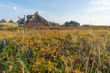 Golden autumn bushes and dune grass surround thatched cottages. The scene glows in soft sunlight beneath a bright blue sky.