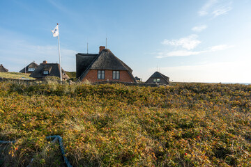 A red-brick thatched house stands among golden dune vegetation. The clear sky and flag suggest a breezy coastal afternoon.