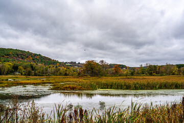 Autumn Landscape with Trees and Clouds