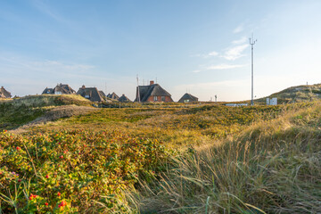 Thatched houses rise above green dunes surrounded by autumn bushes. A bright sky completes the calm coastal scenery.